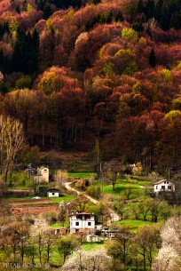 The spring's vivid colors in the Rhodope Mountains