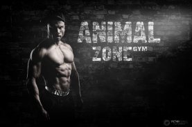 Poster for Animal Zone Gym